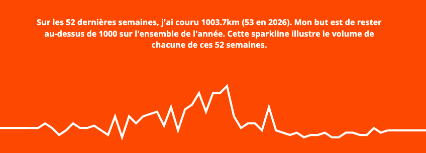 Sparkline illustrating my running distance over 52 weeks. I amounts to 1006.9km.